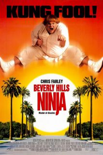 Beverly Hills Ninja Movie Poster 2 Sided Original 27x40