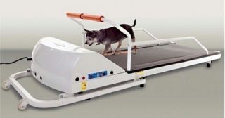 Petrun PR710 Dog Treadmill by Gopet for Dogs Weighing Up to 88 Lbs