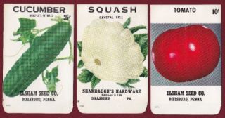 Lot of 3 Vintage Unfilled Vegetable Seed Packs Original Envelopes