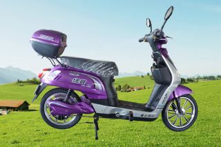 Electric Scooter 350W 48V Lead acid Rechargeable Battery Bicycle