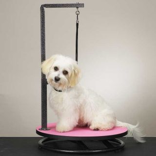Master Equipment Small Dog Pet Grooming Table Top Pink