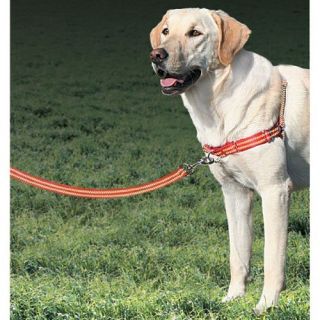 Premier Reflective Easy Walk Dog Harness with Lead