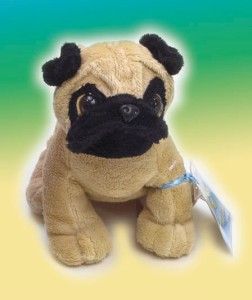 Webkinz Pug Dog 8 1 2 x 6 x 4 Adopt A Pet and Discover A Virtual