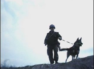 Military Dog Scout Dog Training K9 Film Collection DVD