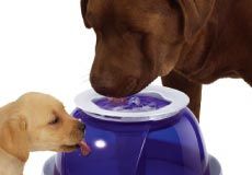 Large Drinking Fountain for Dogs Fresh Clear Dogit®