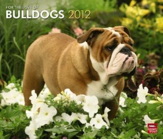 Bulldogs, For The Love Of 2012 Deluxe Wall Calendar, Brand New