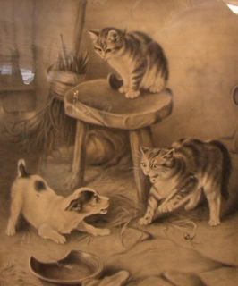 EXCELLENT WELL DONE F B DOWNING CAT CHARCOAL DRAWING PAINTING   CIRCA