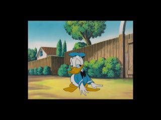 Donald Duck (1982) Donald Duck Epcot Center Careers Cartoon