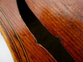 Exceptional and Rare Mid Late 1800s Italian Violin Appraised