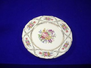 Rosenthal Continental Ivory Queens Bouquet dinner plate in mint