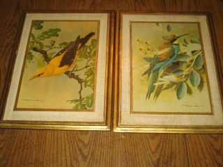 Two Basil Ede Bird Paintings Gold Gilt Florentine Wall Plaques Made In
