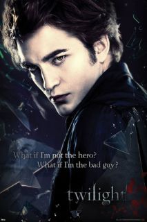 Twilight Edward Broken Glass 24 x 36 Movie Poster
