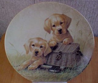 Edwin Knowles Puppy Dogs Gone Fishin Collector Plate