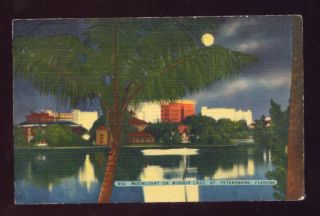 Moonlight on Mirror Lake St Petersburg Florida Postcard