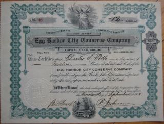 1908 Stock Certificate Egg Harbor City Conserve Co NJ