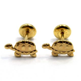 Turtle Gold Filled 18k Earrings. This unique and exclusive design is