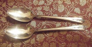 HOMES EDWARDS SPRING GARDEN SILVER PLATE Tea Spoons set of 2