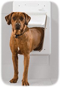 PetSafe Smartdoor Electronic Large Dog Door Up to 100LB 16 1 8 w x 23