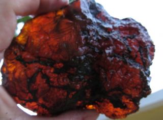 Outstanding Dominican Clear Blue ish Green Amber Rough Specimen 220g