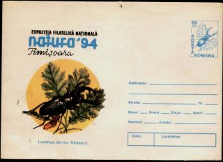 Injourius Insect Stag Beetle Stamp Cover 1994 Romania