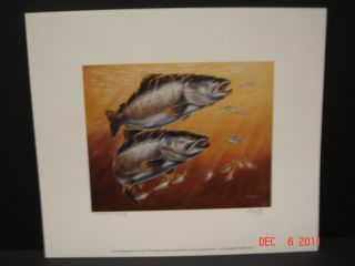 1991 Illinois Great Lakes Salmon Trout Stamp Print Terry Doughty