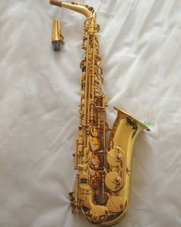 Professional gold Eb Alto Sax Saxophone with case mouthpiece