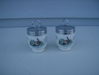 Vintage Royal Worcester Porcelain Egg Coddlers Cups House Wren Birds
