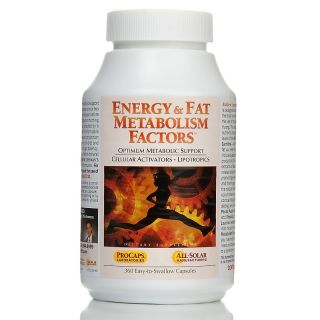 Andrew Lessman Energy & Fat Metabolism Factors   360 Capsules