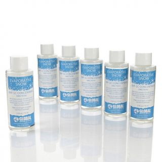 181 619 winter lane winter lane snow fluid concentrate 6 pack refill