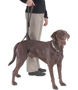 bottom s up leash black bottom s up leash a patented hind leg support