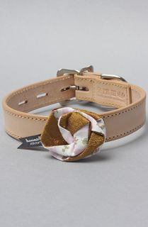 Mister The Dog Rose Bow in Gold Concrete