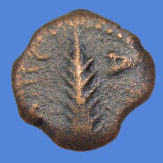 Porcius Festus Roman Procurator of Judea in Years 59 62 L35