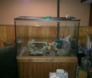  200 Gallon Fish Tank Aquarium Stand