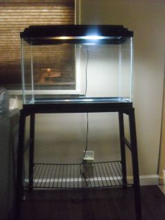  Fish Tank with A Metal Stand