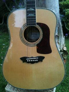 RARE Washburn WD 52SW Acoustic Flint Hills Edition Excellent Condition