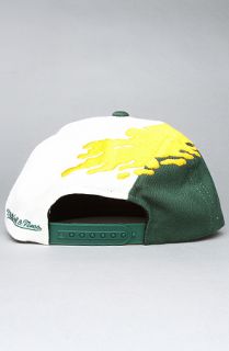 Mitchell & Ness The Green Bay Packers Paintbrush Snapback Hat in Green