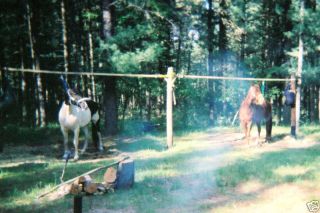 HORSE PICKET LINE TREE SAVER COMBO WESTERN TACK CAMPING KNOT