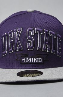 DGK The DGK State Of Mind New Era Hat in Purple and Athletic Heather