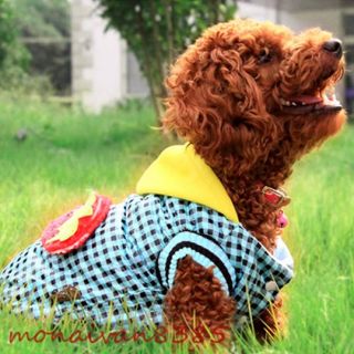  Strawberry Blue Checked SMALL Dog Coat Fleece Dog Clothes Pet Supplies
