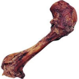 Large 18 Dino Dinosaur Cow Femur Bone Dog Chew Natural