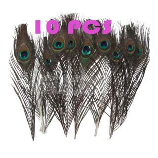 10 Pcs Feather Peacock Tails 10 12 Tail Feathers Deco New