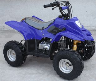 110cc Kids ATV Quad Four Wheeler NEW FREE SHIPPING OTHER COLORS IN