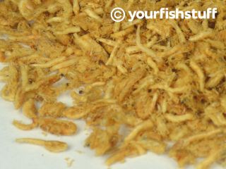 Mysis Freeze Dried Bulk Aquarium Fish Food 1 2 Lb