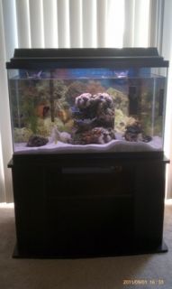 Saltwater Fish Tank Complete w Fish,Crabs, Snails, Stand, Supplies