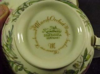 franconia krautheim cup saucer scene m this is a lovely franconia