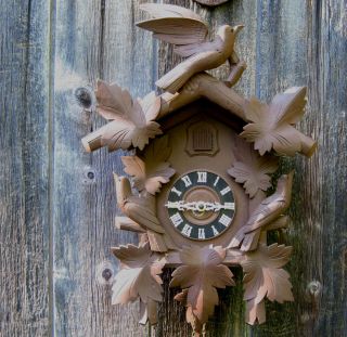  Herr Large Cuckoo Clock Black Forest Carved Birds Glass Eyes Old
