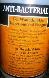 Banixx Wounds & infections 16oz fungal, Wound care Dogs, Cats & Horses