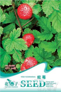 Strawberry Seed 50 HOT Fruit Seeds Red Organic Delicious Sweet Fresh