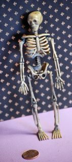 Dollhouse Miniature 6 inch Tall Halloween Plastic Skeleton