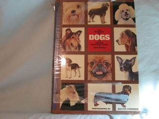 The Treasury of Dogs by Arthur Frederick Jones and John Rendel
